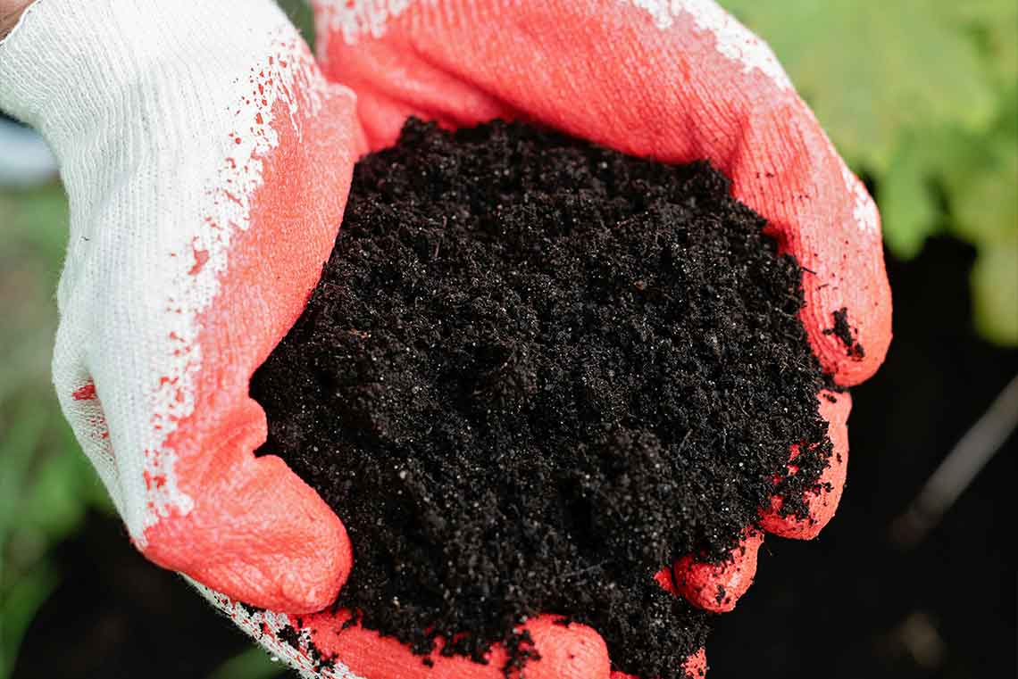 Lehmann AG Hirschthal